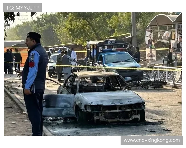 巴基斯坦强势反弹，赢下关键对决，巴基斯坦局势