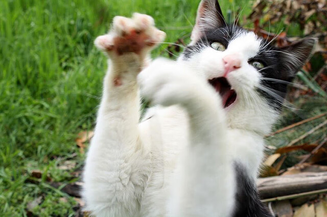 拜仁通过灵活换位制造局部优势,拜仁轮换阵容