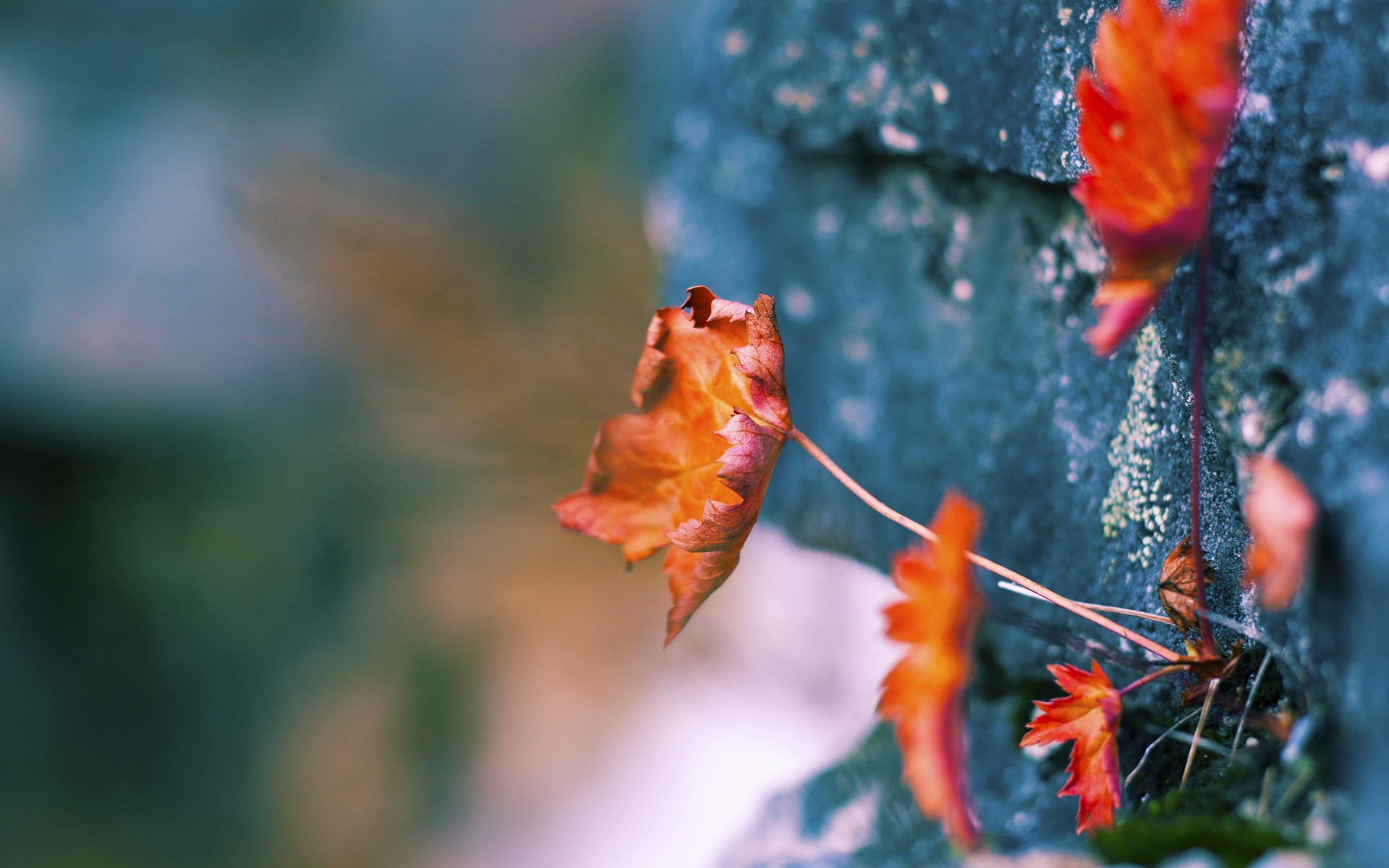 混合团体世界杯赛制全面改革：2024年新规来袭，48支球队世界杯赛制