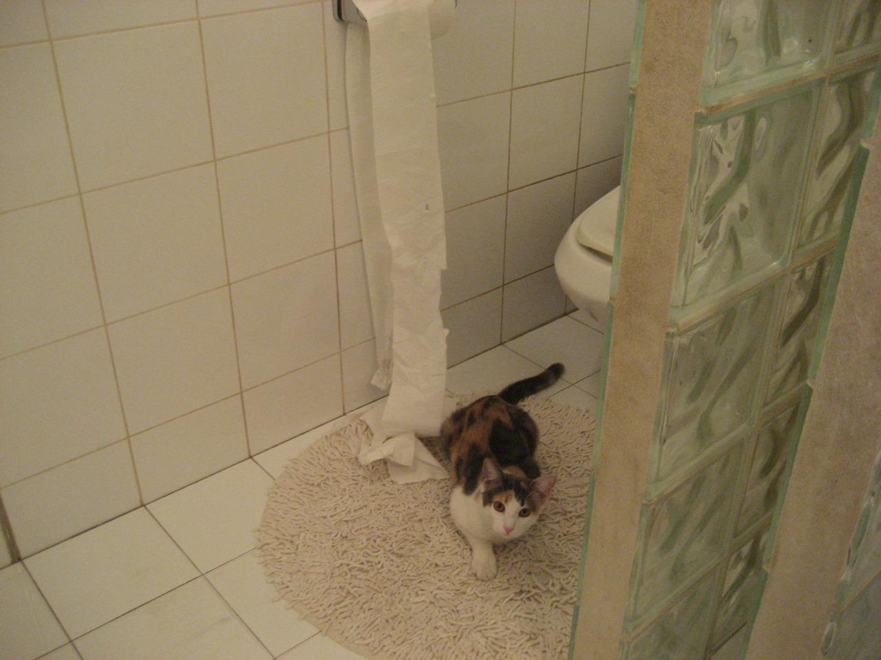 瑞典乒乓球队的未来：从团体赛到单打独立发展的全面布局，瑞典 乒乓