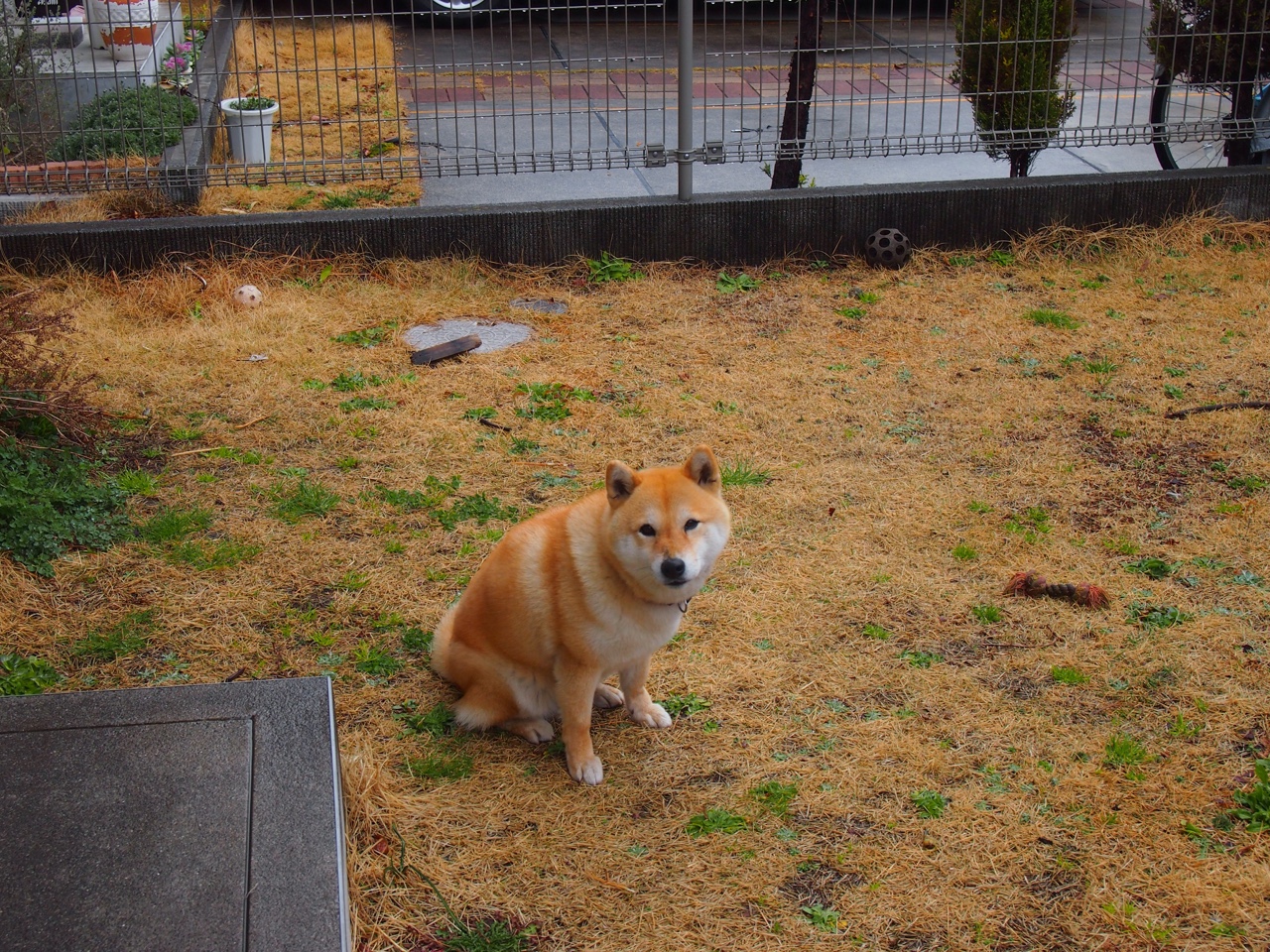 赛事运营平台建立青年岗位实习计划，赛事运营怎么入门