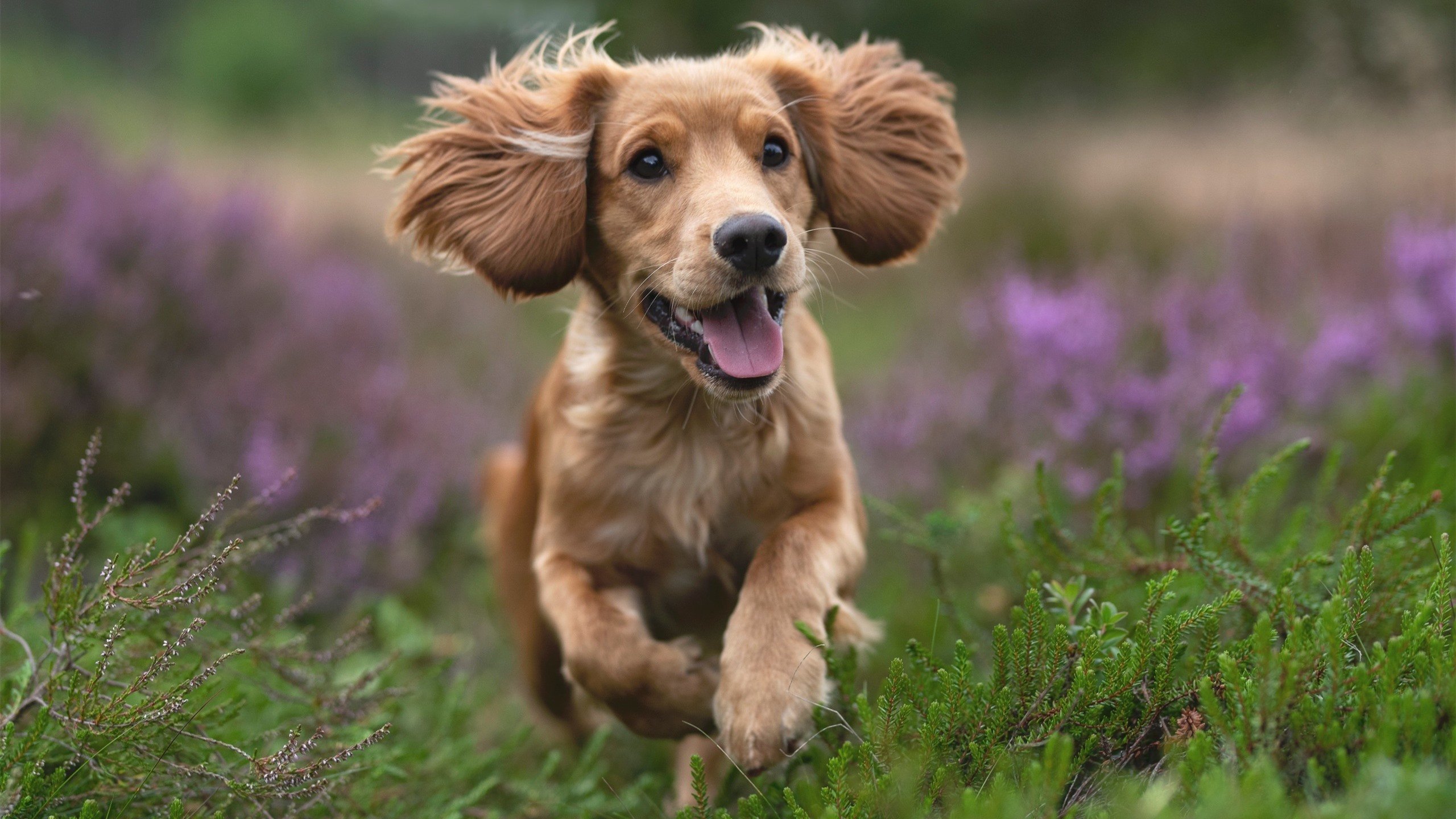 关键战役前夕主帅召开闭门会议鼓舞全队士气